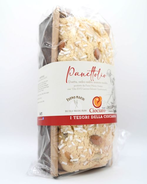 Panettolio Dolce I Tesori Della Ciociaria Gr. 500